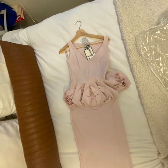 COPY - Le Petite Robe di Chiara Boni Rose Peplum Gown - Picture 10 of 12